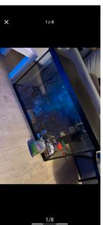 Aquarium, Dieren en Toebehoren, Vissen | Aquaria en Toebehoren, Ophalen, Zo goed als nieuw, Verlichting of Verwarming