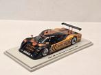 Spark Riley MK XX Porsche Daytona 2009 1:43, Hobby en Vrije tijd, Modelauto's | 1:43, Overige merken, Auto, Ophalen of Verzenden