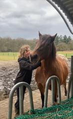 Betrouwbare verzorger aangeboden, Dieren en Toebehoren, Paarden en Pony's | Overige Paardenspullen, Ophalen of Verzenden, Nieuw