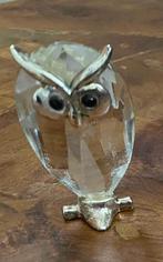 Uiltje van glas, Ophalen of Verzenden, Dier