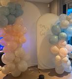 TE HUUR: backdrop balonnenboog babyshower/ gender reveal, Ophalen, Zo goed als nieuw, Geboorte of Huwelijk