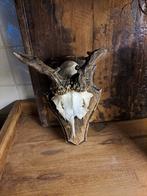 Geweitje op houten schild sober,landelijk,vintage, Ophalen of Verzenden, X, X, X