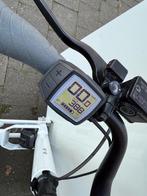 Aangepaste Urban Arrow Bakfiets met rohloffnaaf, Fietsen en Brommers, Gebruikt, Goederen, Elektrisch, Ophalen