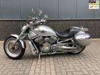 Harley Davidson Chopper VRSCA V-Rod, Chopper, Bedrijf, Meer dan 35 kW, 1131 cc