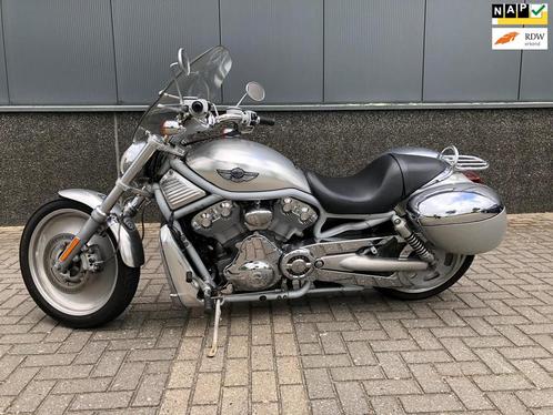 Harley Davidson Chopper VRSCA V-Rod, Motoren, Motoren | Harley-Davidson, Bedrijf, Chopper, meer dan 35 kW