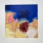 Zeefdruk Henk van Vessem, Antiek en Kunst, Kunst | Litho's en Zeefdrukken, Verzenden