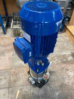 'Duivelaar DVPS 6/6 B ', Ophalen, Nieuw, Elektrisch, Hydrofoorpomp