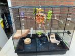 Vogel kooi, Dieren en Toebehoren, Knaagdieren en Konijnen | Hokken en Kooien, Minder dan 60 cm, Kooi, Minder dan 75 cm, Ophalen of Verzenden