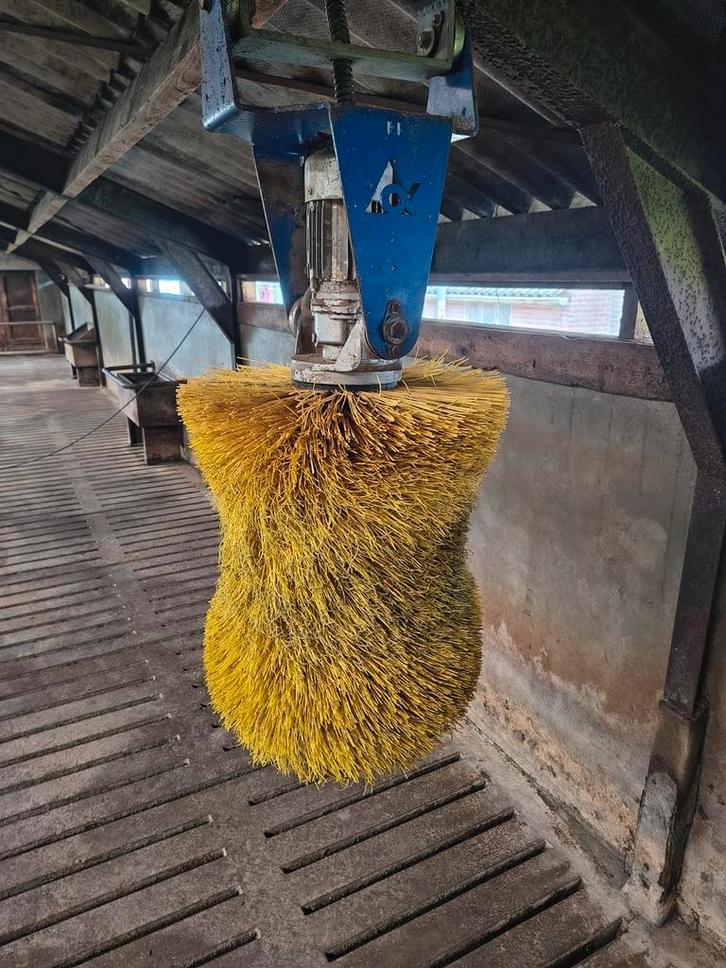 DeLaval koeborstel, Dieren en Toebehoren, Overige Dieren-accessoires, Gebruikt, Ophalen