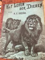 A.E. Brehm Het leven der dieren De zoogdieren (ca. 1910), Antiek en Kunst, Antiek | Boeken en Bijbels, A.E. Brehm, Ophalen of Verzenden