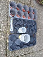 Kweekpotjes gratis op te halen, Ophalen of Verzenden, Kweekbak