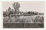 Holland - Gedicht, Verzenden, 1940 tot 1960, Ongelopen, Zuid-Holland