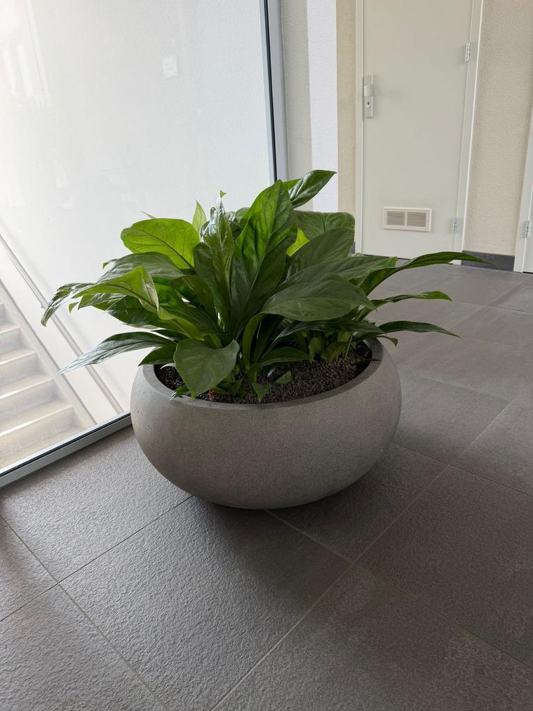 Duurzame buiten bloempotten en plantenbakken van Prestige Water | Bloemenpark