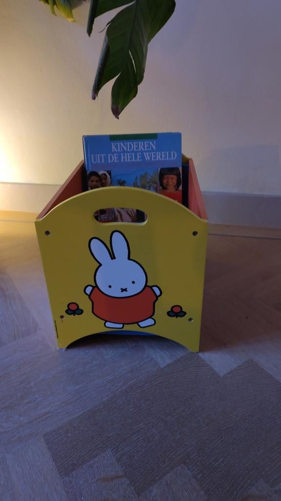 Boekenkist/ speelgoedkist nijntje, Ophalen, Overige typen