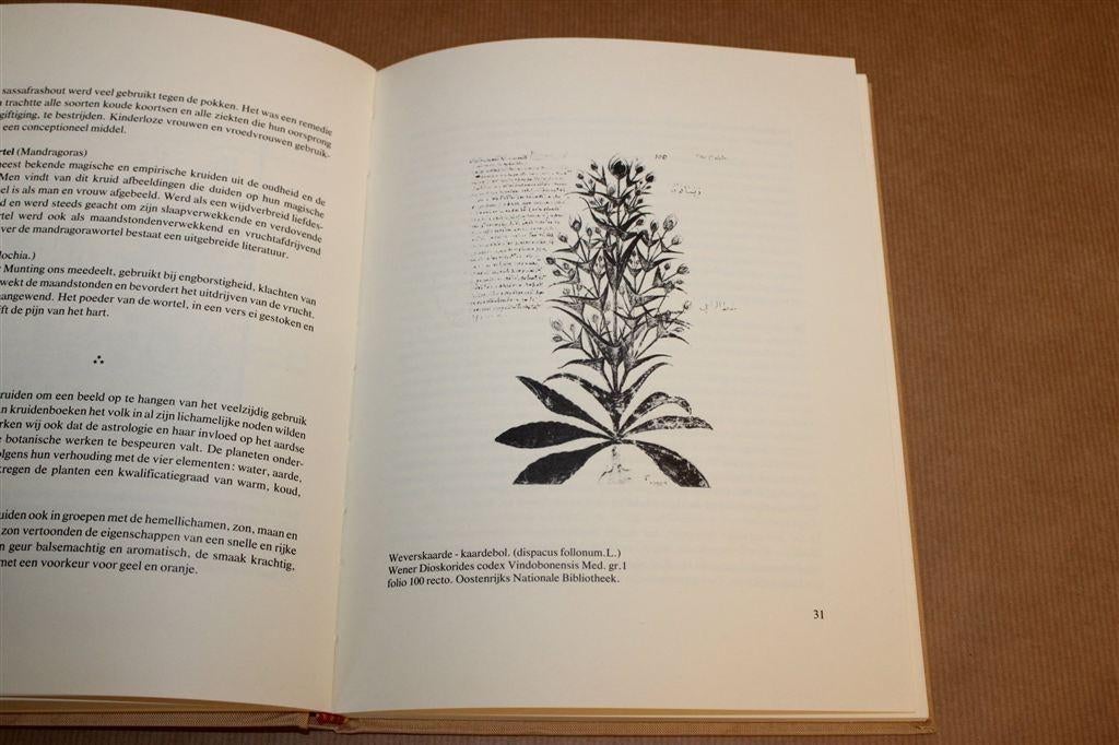 Den Nederlandschen Hovenier — Volksgeneeskunde 17e-18e Eeuw, Boeken, Ophalen of Verzenden, Gelezen