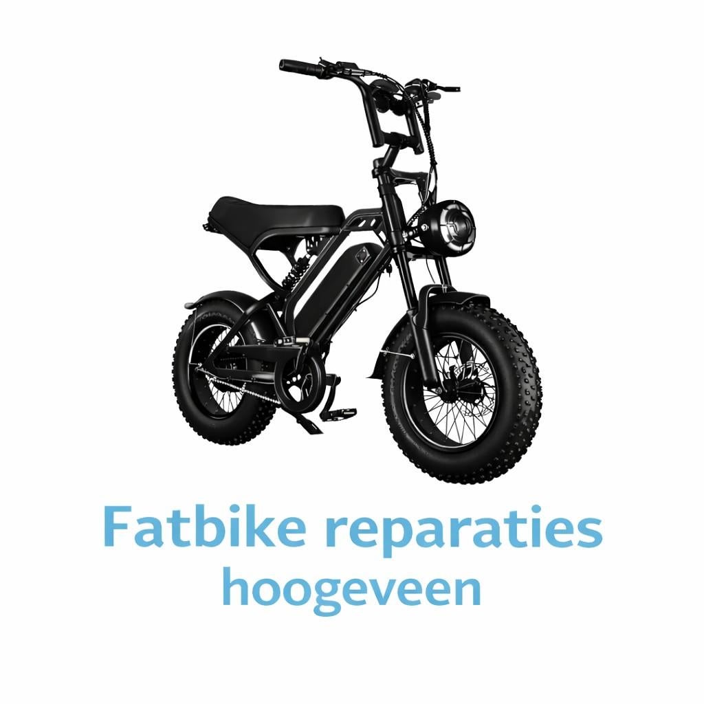 Fatbike reperaties omgeving hoogeveen, Fietsen en Brommers, Elektrische fietsen, Ophalen of Verzenden, Nieuw