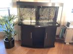Juwel vision 260, Dieren en Toebehoren, Vissen | Aquaria en Toebehoren, Ophalen, Gebruikt, Leeg aquarium