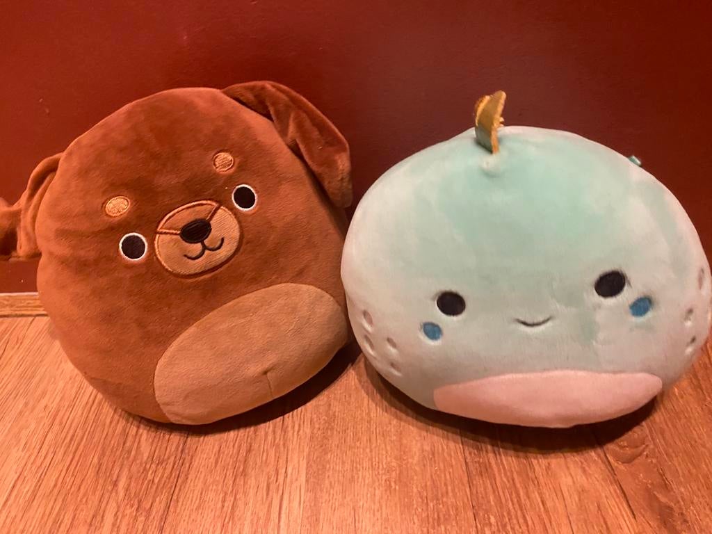 Squishmallows: Hond en Dino knuffels, Middelgroot (20 tot 80 cm), Hond, Ophalen of Verzenden, Met label