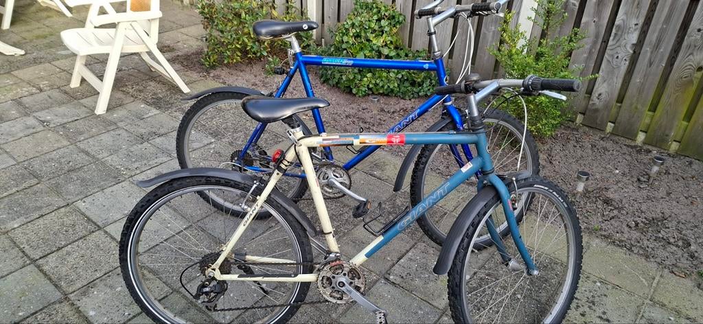 Mountainbike giant, Fietsen en Brommers, Ophalen, Gebruikt, 26 inch, Giant