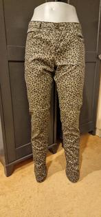Groene panterbroek Maat 40, Kleding | Dames, Broeken en Pantalons, Maat 38/40 (M), Yessica, Ophalen of Verzenden, Zo goed als nieuw