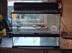Exo terra 60x45x45 plus lampenkap, Dieren en Toebehoren, Ophalen, Zo goed als nieuw