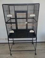 Sterke kamervoiliere vogelkooi zwart, Dieren en Toebehoren, Vogels | Hokken en Kooien, Ophalen, Zo goed als nieuw, Metaal, Vogelkooi