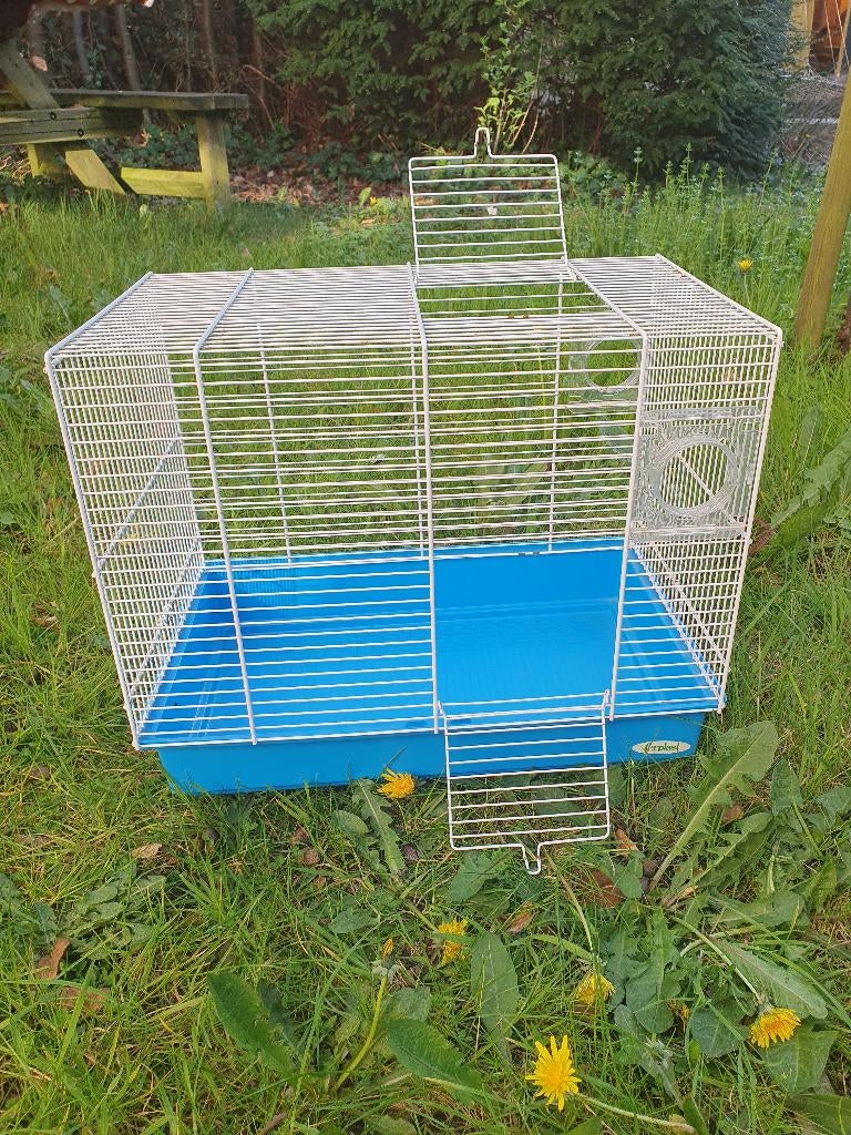 hamsterkooi met veel extra spulletjes, Kooi, Gebruikt, Minder dan 75 cm, Muis