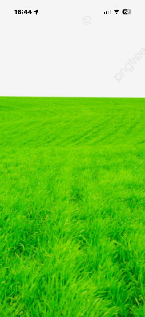 Weiland gezocht, Dieren en Toebehoren, Stalling en Weidegang