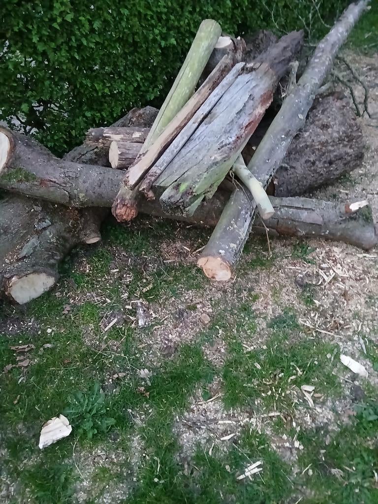 Te koop, Tuin en Terras, Haardhout, Minder dan 3 m³, Ophalen of Verzenden