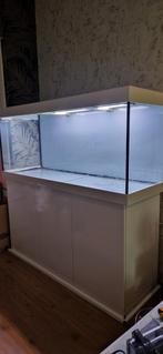 Juwel Rio 450 aquarium + meubel – 450 liter – werkend, Dieren en Toebehoren, Vissen | Aquaria en Toebehoren, Ophalen of Verzenden