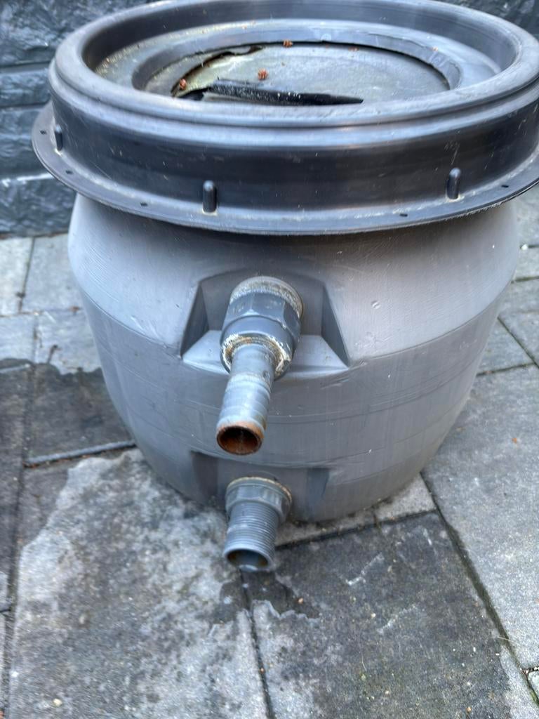 Filter, Goudvis(sen)