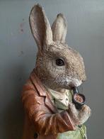 Haas in kostuum!, Ophalen of Verzenden, Zo goed als nieuw