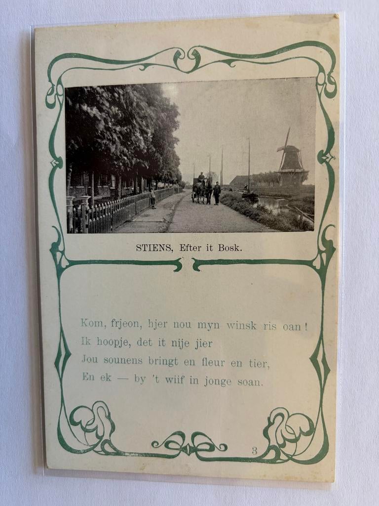 Oude Ansichtkaart Stiens, Efter it Bosk - Friesland, Ophalen of Verzenden, Voor 1920, Ongelopen, Friesland