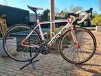Focus cayo wielrenfiets tekoop, Heren, Zo goed als nieuw, Meer dan 20 versnellingen, 53 tot 57 cm