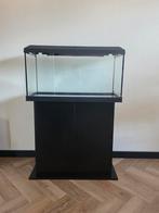 Z.g.a.n Juwel Primo 110. met onderkast en vele extra's, Dieren en Toebehoren, Vissen | Aquaria en Toebehoren, Ophalen of Verzenden