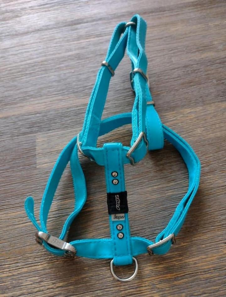 Honden tuigje, Ophalen of Verzenden, Zo goed als nieuw