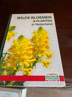 Wilde Bloemen & Planten in Nederland, Boeken, Ophalen of Verzenden, Gelezen, Bloemen, Planten en Bomen