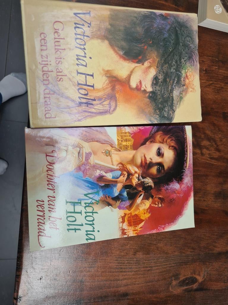 2 titels Victoria Holt, Ophalen, Zo goed als nieuw, Noord-Brabant