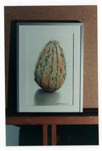 KALEBAS, Minder dan 50 cm, Oorspronkelijke maker, Nieuw, Ophalen of Verzenden