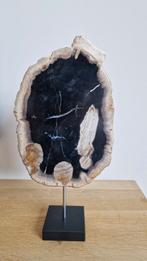 Versteend hout op standaard, Ophalen of Verzenden, Zo goed als nieuw