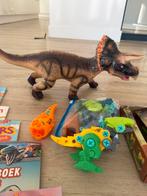 Mega pakket voor de DINO liefhebber!!, Ophalen of Verzenden, Zo goed als nieuw