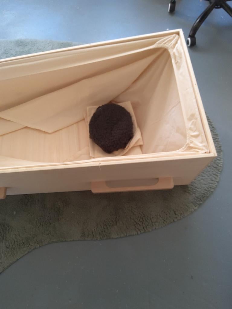 Doodskist Eco, nieuwstaat, direct op te halen, 500€, Ophalen