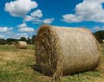 Ronde balen hooi te koop, Ophalen of Verzenden