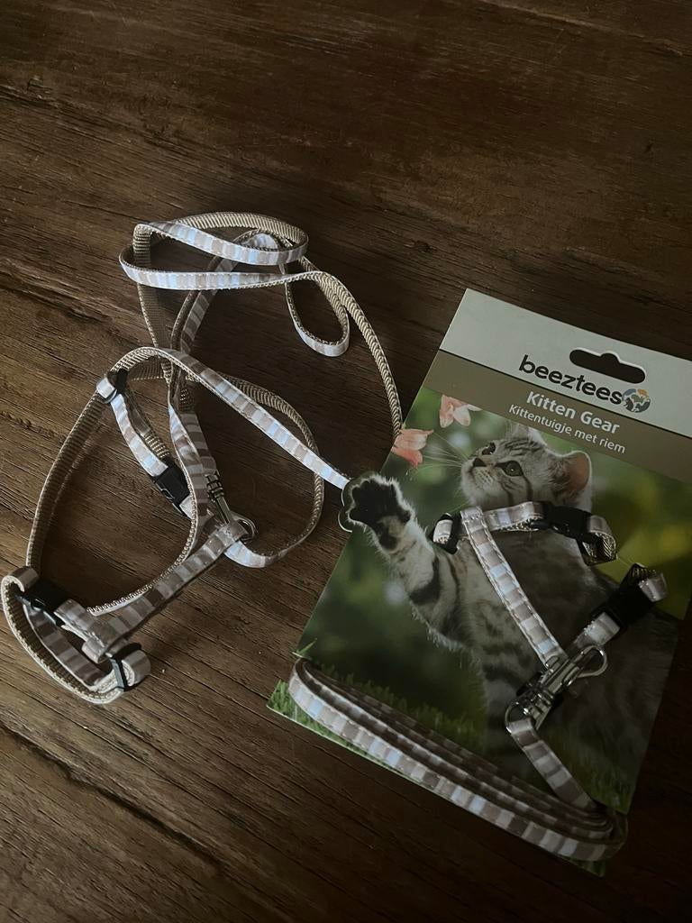 kitten tuigje, Dieren en Toebehoren, Ophalen of Verzenden, Nieuw