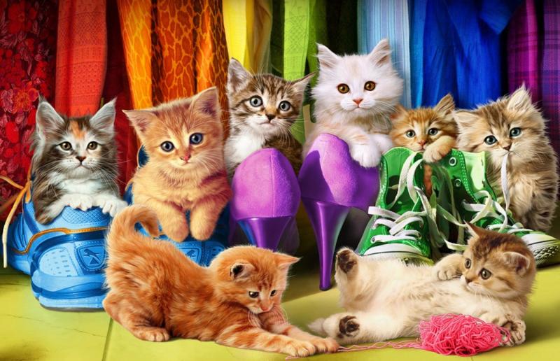 Eurographics - Kitten Pride - 1000 stukjes, Ophalen of Verzenden, 500 t/m 1500 stukjes, Nieuw, Legpuzzel