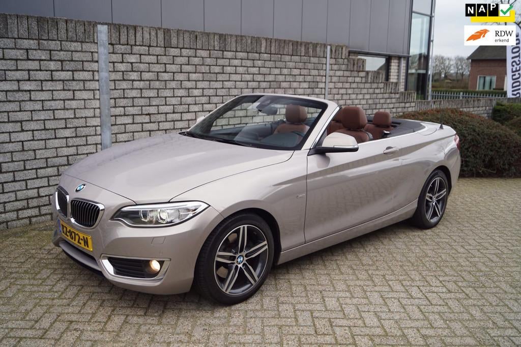 BMW 2-serie Cabrio 220i High Executive Luxury Autom Leder Sp, Automaat, Achterwielaandrijving, Gebruikt, Euro 6