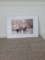 Witte lijst 100x70 met paspartout en dierenposter, Ophalen, Overige materialen, Zo goed als nieuw, 75 tot 100 cm