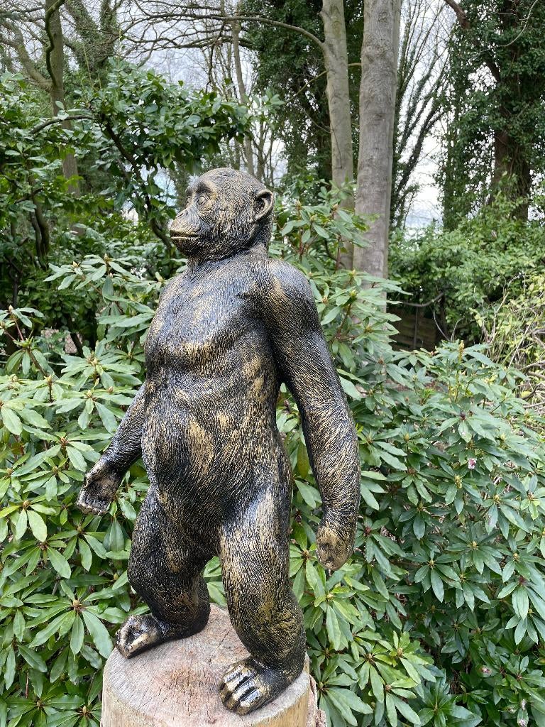 Beeld Stoere aap, tuin, babykamer, dieren 80cm, Ophalen, Nieuw, Kunststof, Dierenbeeld