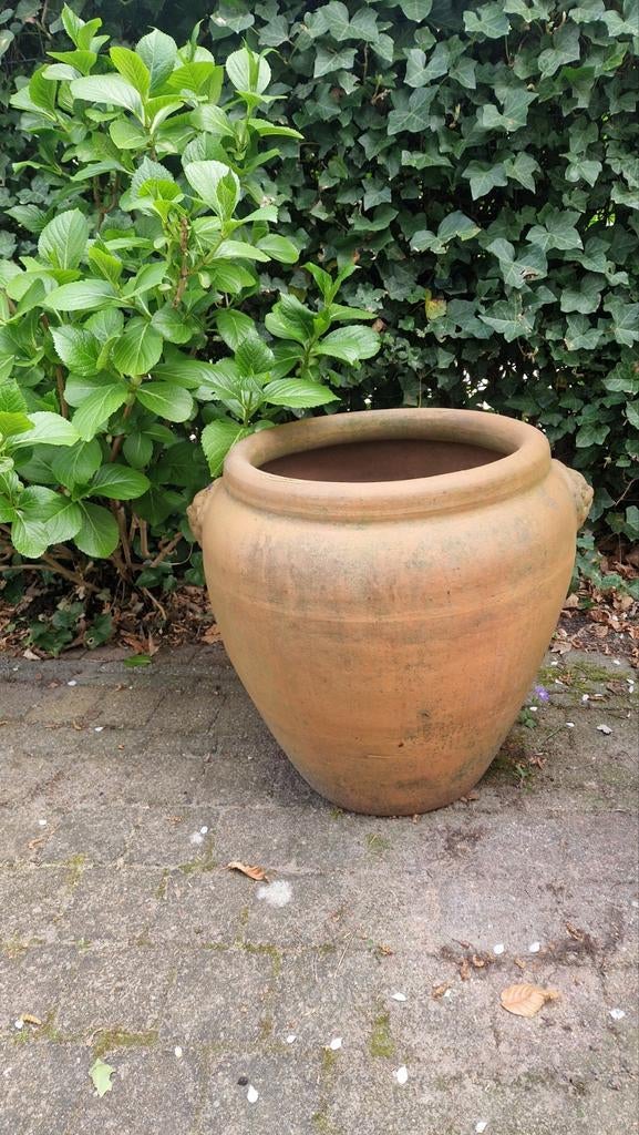 Prachtige grote terracotta pot, Tuin en Terras, Bloempotten, Ophalen of Verzenden, Rond, 40 cm of meer, 40 tot 70 cm