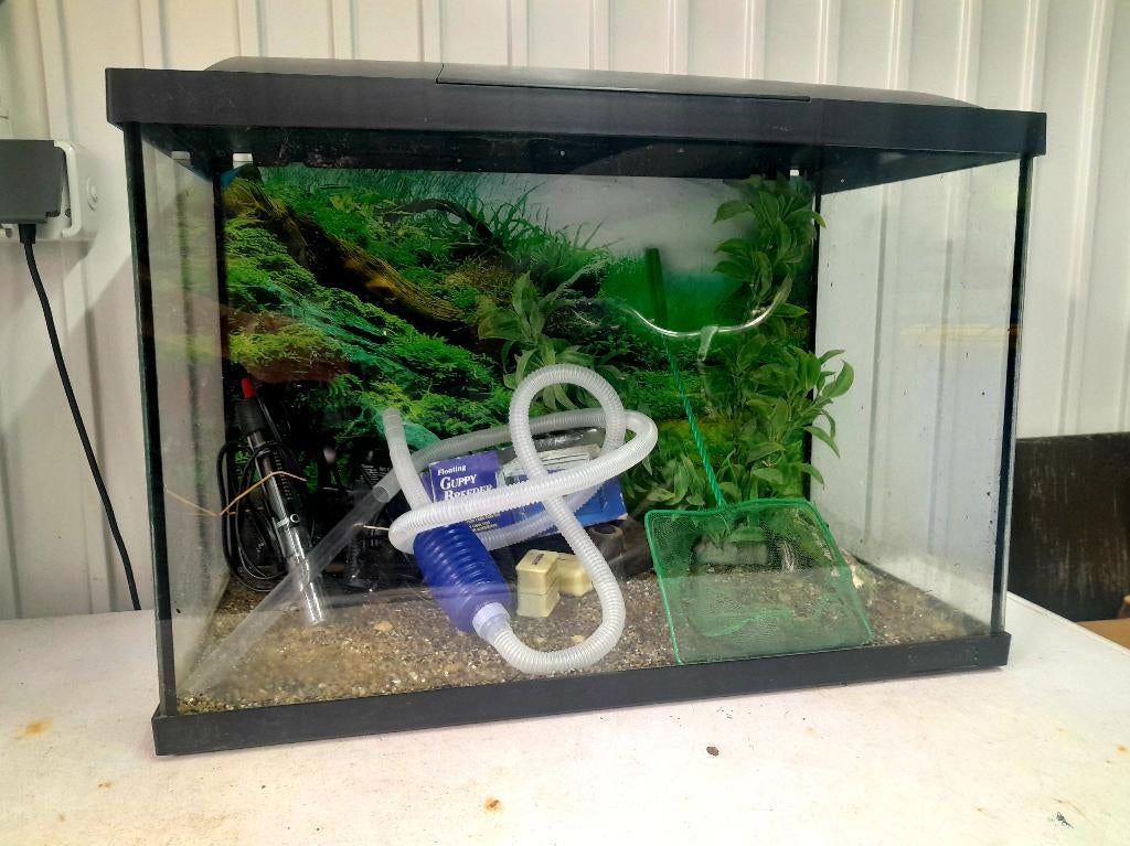 Aquarium compleet met veel toebehoren, Dieren en Toebehoren, Vissen | Aquaria en Toebehoren, Ophalen, Verwarming, Gebruikt, Leeg aquarium